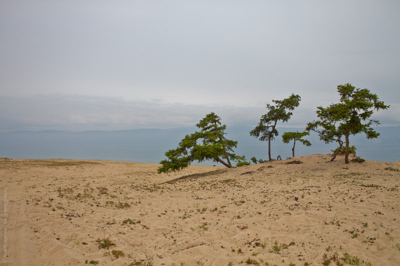 Песок  Сарайского залива.

