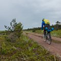 Мы же остаемся с мыслями о том, сколько нам еще грести, идем гулять вдоль берега. Все серое, некрасивое и мокрое, так что на улице делать нечего, и мы проводим полдня в палатке. Мне не особо то и лучше, всю ночь текут сопли и не дают толком уснуть. Как назло, ночью разливаю часть оставшегося Тизина. Думаю, его хватит до Умбы, а там можно и в аптеку заглянуть.Часть 3. Кашкаранцы – Умба (26 – 29 июля 2015)Наутро ветер стихает. Встаем снова в 4 утра, вот только теперь мы в любом случае пропускаем начало прилива, оно как раз в 4 с небольшим. Идет дождь. В 6:10 мы на воде, собирались уже в море, но значительно ближе к берегу. Чопы преодолеваем вполне успешно, вчера мы весь день смотрели на разбивающиеся об отмель волны и нашли место, в котором они самые слабые. Так что нам осталось только дождаться, пока пройдет сет из больших волн и выйти по маленьким в море.Ветер постоянно меняет направление, но в целом помогает, и мы идем 7-8 км/ч.Тут совершенно невообразимые отмели, они просто кошмарны, в километре-полутора от берега все еще видно дно. Три дня ветер дул в одном направлении, и нагнал высокую и длинную волну около 1-1.5 метра, и сейчас С, СВ ветер вызывает лишь небольшую рябь на поверхности этих волн, на них весело кататься, но они же с шумом разбиваются об эти отмели и на одном моменте мы даже находим себя на лайнапе, и нас даже заливает один чоп. Приходится быстро валить еще дальше в море. Сомнений никаких – мы обязаны преодолеть всю зону отмелей, а она закончится за Оленицей. Конечно, перспектива встать в Оленице и попариться в бане (а сегодня суббота) привлекательна. Менее привлекательна перспектива тащить байдарку километр по литорали, так что приходится сжать зубы и грести.В море нас в очередной раз атакуют крачки. Вообще полярные крачки, несмотря на свои достижения в длительности перелетов (они летают из Арктики в Антарктику и обратно), обладают прескверным нравом. Иногда они конечно подлетают, чтобы разглядеть нас поближе, но бывает, сбиваются в стайку, и втроем-вчетвером кружат вокруг байдарки, кричат и пикируют на нас. Такое поведение этой птицы не смогли объяснить ни мы, ни работники Кандалакшского заповедника. Работница заповедника просто сказала, что у них “скверный нрав”, и мы им чем-то не понравились.Уже ближе к вечеру заходим за мыс Малый Олений, и радуемся тому, что расчеты оказались верными. Здесь уже нет отмелей, лишь небольшая каменная банка. За мысом находится рыбопромысловый участок и большой белый пёс рыбаков сразу же отправляется разнюхать нежданных гостей.