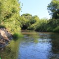 Еще один приток  в Дон, река Ведуга, мы не поленились, свернули поглазеть на речушку.