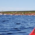 Решаем набрать пресной воды. Морская вода напротив устья окрашена в красный цвет.