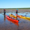 Поэтому едим прямо у края отмели стоя в воде.Температура воздуха сейчас +14. Поднялся ветер, средняя скорость 3.8 м/с, порывы до 4.2.  12:30. Перекусив и помёрзнув на литорали спешим обратно на воду.