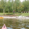 С воды мы заметили какое-то огромное полотнище, застрявшее на дереве. Но это оказался не параплан, который ищут. &nbsp;