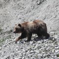 Часть 3 Оторваться от Лопатки...