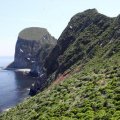 Часть 5 Мечты сбываются или Уташуд