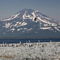 Часть 5 Мечты сбываются или Уташуд