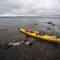 День 3

Сон был глубокий и крепкий. Только несколько раз Максим на мгновение просыпался, слышал слабый шум падающих на палатку капель и тут же засыпал снова. Организм восстанавливал силы после честного трудового дня. Утром, вопреки ожиданиям, картина не поменялась: пасмурное серое небо до горизонта и порывистый ветер. Однако дождь прекратился на пару часов, что позволило наспех просушить палатку, спокойно позавтракать и собраться в путь. Сегодня только в начале пути пришлось преодолеть немного открытого пространства, дальше маршрут проходил уже довольно близко к берегу, от острова к острову, через небольшие мысы и проливы. Пейзаж немного поменялся. Если вчера берег был виден как однотонная серо-зеленая полоса на границе бледного полотна водной глади, то сегодня картину можно было рассмотреть в деталях. Деталей было много и они по мере движения менялись. Смешанный лес с белыми стволами берез переходил в хвойный, сосновый, а потом вовсе прерывался, и взору открывалось большое болото с желто-зеленой травой и торчащими стволами серого сухарника. Вчера издалека небольшие острова были вовсе не различимы и сливались в одну линию с дальним берегом. Сейчас они приобрели форму,и каждый был по-своему уникален и красив. Очень интересно было проходить мимо самых маленьких, рассматривая их из каяка. Иногда получалось пройти прямо между двух островков в окно шириной в несколько метров. Эти небольшие участки суши имели каменистые берега, некоторые были окружены выпирающими из воды черными пнями. На них росло не больше десятка деревьев, они были прозрачные для взгляда, и Макс ловил себя на мысли, что было бы интересно поставить палатку и переночевать на этих нескольких квадратных метрах суши.
Греблось легко. Иногда Максим прерывал ритмичные движения веслом, делал пару глотков воды, и устремлялся дальше. Время летело, организм продолжал работать и в установившемся ритме совершенно не ощущал падающих с неба капель, ветра и холода. Досадно было лишь то, что нельзя было сделать качественных фото всего, что было сейчас вокруг. Вечно намокающий объектив и нехватка яркого солнечного света, к сожалению, не позволяли сделать достойного кадра. "Может в следующий раз повезет", - думал он и снова убирал камеру в гермомешок.

Через пару часов ко всему добавилась внезапная боль в правом плече. При отведении согнутой руки назад в районе бицепса возникала резкая боль. Максим сократил амплитуду гребков, это помогло, но теперь все время приходилось контролировать движение руки. Лодка продолжала идти вперед, но немного медленнее ,а спешить-то особо было некуда. Он обогнул очередную мысовину и заметил впереди на берегу две лодки. Было несколько странно вновь увидеть людей в этом диком месте. Максим небезосновательно предполагал, что ему не встретится ни один человек в этом месте. Но, видимо, городской житель все сильнее стал испытывать тягу к нетронутой природе, а если средства позволяют, почему бы и не забраться в эти дебри. Он все ближе подходил к лагерю: на берегу был натянут купол парашюта, служивший навесом, под ним на скамейках за столом сидели несколько мужчин. Они сидели спиной к воде и не могли видеть приближающегося каякера. Первая мысль была пройти мимо, но вчерашняя встреча возбудила в нем любопытство, и он причалил к берегу. Выбравшись из лодки, подтянул ее на берег, подошел к мужчинам:
- Здравствуйте, дяденьки! - с улыбкой сказал он.
Дяденьки одновременно повернулись в его сторону:
- Ого! Ты откуда тут нарисовался?! - весело спросил один из них, - А ну-ка садись за стол!
Максим присел на край скамейки.
- Угощайся, вот, кушай, что хочешь! - Они стали подвигать в его сторону большую сковородку с макаронами по-флотски, сыр, хлеб, печенье и прочие съедобности, щедро высыпанные на столе. - Откуда едешь?
- Блин, мужики, спасибо большое.. да не стоит... да я...
- Кушай, кушай, рассказывай! - Они искренне заинтересовались неожиданным гостем.
- Да я, вот, иду одиночным маршрутом на каяке, смотрю, вы сидите, думаю, заеду, поболтаем.
- Ну правильно думаешь! А мы тут давно уже стоим, вот, рыбку ловим, отдыхаем. А сам откуда?
Максим рассказал им, что он из этих краев, сейчас живет в Подмосковье. Ребята оказались оттуда же, не первый год уже приезжают сюда летом. Потом начали говорить о жизни, налили за встречу по тридцать грамм спиртосодержащей жидкости. Выпили за знакомство, продолжали наперебой болтать. Общие темы находились сами собой, было очень приятно познакомиться и пообщаться с интересными и неглупыми людьми. Затронули, наверно, все проблемные темы, начиная с мобильных фильтров для воды и туристической экипировки, заканчивая вопросами религии и проблемами субъективного идеализма в восприятии буддийской философии, а так же прочей всякой метафизикой.
Дождь и не думал прекращаться, а под навесом было уютно и сухо. Парни между разговорами то и дело предлагали ему что-нибудь съесть, и Макс то и дело что-нибудь ел ...и ел, совсем немного стесняясь. На самом деле было несколько неожиданно встретиться в лесу с такими оригинальными людьми, с которыми непринужденно можно было говорить на такие разные темы. Хотелось задержаться, но нужно было двигаться дальше. Макс встал из-за стола:
- Ребята, спасибо за гостеприимство, но мне пора. Сидевший рядом Дмитрий остановил его:
- Да подожди, смотри дождина какой! Посиди еще!
- Мне ж еще до места надо отработать пару часов, времени не хватает, - ответил Максим - а так, с удовольствием бы еще задержался.
- Ну да, понимаем. Спортсмен, все дела!.. А у нас тут и суп приготовился, давай-ка, перед дорогой?
Было чертовски сложно не поддаться этому искушению.
- Ну как тут устоять, наливай!
Суп был сырный, шикарный, как в ресторане. А употреблять его на природе было вкусней вдвойне! Они еще немного пообщались, потом Максим отклонил любезное предложение переночевать с ними на свободном в палатке месте и решительно, чтоб не передумать, пошел к лодке. Он взял фотоаппарат, вернулся и сделал пару снимков новых знакомых. Затем они обменялись контактами и довольные расстались.

Макс продолжил свой маршрут с новыми силами, группа хороших людей осталась на берегу. Кто знает, может, когда-нибудь они еще встретятся.
Через два часа он подходил к крутому берегу того самого залива. Места тут были действительно красивые: высокие холмистые берега с соснами и пятна белого мха под ними. Он еще раз пожалел, что не получится запечатлеть в красках эту суровую красоту северной природы. После очередной пройденной мысовины он разглядел на берегу избу и взял курс в ее сторону. Потом остановился и подумал об ужине. Как то уже надоело есть магазинные продукты. Побывать тут и не сварить ухи было как-то неправильно. Он достал маленькую зимнюю удочку, насадил заранее приготовленного червя и опустил наживку в воду. Тем временем ветер усилился. Его порывы быстро несли каяк по воде. Леска под острым углом уходила в воду. Местной рыбе, однако, не было никакого дела до погоды, клев был как всегда отменный. Буквально десяти минут хватило, чтоб обеспечить себя котелком ухи. Азарт был велик. Наживка не успевала уйти глубоко под воду, а окуни уже жадно заглатывали ее. Максу было сложно оторваться от этого увлекательного занятия, но за это время организм остыл, и сидеть мокрому без движения стало очень холодно. Он собрал удочку и, вздохнув, направился к берегу. С напарником можно было успеть и наловить рыбы, и осуществить весь бытовой ритуал с разведением костра, приготовлением пищи и так далее. Но сейчас, одному надо было поторапливаться. Он зашёл в избу. Там ютились четверо рыбаков. Из разговора Макс понял, что они с минуты на минуту отчаливают домой, поскольку надвигается шторм, а по такой погоде делать в озере нечего. Рыбаки быстро собрались, попрощались и уехали, чтоб успеть безопасно добраться до дома. Максим отправился за дровами, быстро разжег костёр, переоделся в теплую непромокаемую одежду и стал варить уху. Вскоре он, довольный и сытый, пил горячий чай с печеньем, рассматривал на дисплее фотоаппарата отснятый материал и возился с навигатором. По плану он хотел пропутешествовать еще 2 дня, но погода вносила свои коррективы и, учитывая обстоятельства, решил сократить маршрут и завтра попытаться дойти до посёлка, где его ждал отец.

В этом месте очень неуверенный, но все же кое-где был плавающий сигнал мобильной связи. Максим позвонил отцу. Тот уже наловил сигов и занимался заготовкой березовых веников в баню. Максим, в свою очередь, рассказал коротко о своих приключениях и сообщил, что завтра решил финишировать. Отец поддержал решение:
- Ну все, до завтра, буду встречать.
- Да. Завтра погоду обещают веселую, точного маршрута не знаю, сориентируюсь по ходу дела и, по возможности,  буду держать тебя в курсе.
- Хорошо, все понял, звони!
- Пока, до связи!
- Давай, удачи....
Вряд ли он мог бы посвятить кого-нибудь из своих близких в свои планы, связанные с опасным предприятием. Кроме отца. Они слишком хорошо друг друга знали...
Стемнело. В избе было тепло и уютно. Максим лежал на пуховом спальнике и перелистывал книжки, кем-то из местных рыбаков любезно оставленные на полке. Он начал читать про какого-то маньяка в страшном лесу и отважного сурового милиционера, который должен его обязательно поймать и .. вскоре.

ДЕНЬ 4

Прогноз оправдался. Утро встретило дождем и сильным порывистым ветром. Природа решила не давать человеку расслабиться. Человек нисколько не обиделся, более того, он знал, что испытание не дается просто так. Он знал и то, что испытание всегда будет честным и никогда не окажется непосильным. Просто надо принять его и сделать певый шаг в атаку. Он был не против "поправить свою карму" и, воодушевленный, стал собираться в дорогу.


Залив, где находилась изба был не более двухсот метров шириной, но даже на такой небольшой площади чувствовалась сила ветра. Максим подумал, что же будет, когда он выйдет из залива на открытую воду. Хотя, что тут думать, на месте посмотрим. Он загрузил каяк, оттолкнулся от берега и строго против ветра отправился в путь, а через несколько километров вышел на открытую воду. Опасения подтвердились: северо-восточному ветру было где разгуляться. Вода была черного цвета, а на больших волнах белели вспененные шапки. Вариантов было два: уйти вправо и обойти большой залив вдоль берега, либо пойти напрямик против ветра и через шесть километров сильно сократить маршрут. В полутора километрах был виден небольшой остров. Максим решил следовать на него, попробовать каяк, себя и, если все пойдет хорошо, пройти от острова оставшиеся километры напрямик. Он заработал веслом и стал постепенно уходить в кипящую воду. Опыта, конечно, не хватало. Поначалу очень много сил уходило на бесполезную суету, движения были неровные, часто возникал страх перевернуться. Но каяк устойчиво продолжал следовать к цели, как пробка перекатываясь на волнах, врезаясь в поднимающуюся перед ним воду, утапливая нос и тут же вылетая из нее с брызгами. Вскоре движения стали правильными и размеренными. Появился интуитивный контроль управления каяком. Максим уже подходил к острову. Он остановился с западной стороны, где ветер сдерживали высокие деревья. Налил чай из термоса, наметил промежуточный КП на другом берегу, прикинул расстояние и двинулся напрямик, по первому варианту. Он обогнул остров с севера и вновь сильный ветер ударил в лицо. Однако он уже не нагонял ту тревогу, которая была с утра. Организм уже притерся и вжился в новые обстоятельства. Греблось легко и уверенно, только иногда резкая боль в плече сбивала с правильного ритма.
Вскоре он благополучно пересек залив, сделал несколько глотков воды и, изменив курс почти на девяносто градусов, направился на выдающийся далеко в озеро мыс. Теперь приходилось бороться со строго боковым ветром, который дул справа, со стороны берега, унося каяк в озеро. Максим поправил курс на угол сноса и продолжал работать веслом. Иногда он замечал появившуюся вдали большую волну и по мере приближения уже был готов к встрече с ней. Волна обрушивалась на каяк, а потом резко поднимала его вверх, щедро обливая водой. Еще через час Максим добрался до очередного промежуточного пункта своего маршрута.
Дальше было проще. За мысом надо было повернуть на восток и через пару километров войти в залив, образованный большим островом слева. Потом еще один поворот, немного усилий и посёлок.
Максим позвонил отцу и сказал, что самый опасный участок позади и что через часок он будет у цели. Оттолкнулся от берега и стал огибать мыс... И тут в лицо ударил по-настоящему сильный встречный ветер. Он несся с противоположного берега, где было большое болото и где ему было место разогнаться. Кроме того, здесь было довольно мелко, и если на глубине волны были большие, но пологие, то здесь они вздымались вверх очень высоко и, переламываясь, с пеной обрушивались вниз. Максим налег на весло. Преодоление этого мощного ветра забирало много сил. Каяк протыкал носом очередную волну, обдавая гребца потоком брызг, потом вздымался вверх, опрокидывался на гребне, и вновь нос уходил под воду. Рука нестерпимо болела. Через полчаса изнурительной работы Максим стал сомневаться в возможности добраться до тихого залива. Он отчаянно махал веслом, осматривая берег, где можно было переждать непогоду. Но там было сплошное болото, которое никак не подходило для лагеря. Он продолжал бороться со стихией. Было совершенно непонятно, движется ли каяк или стоит на месте. Ослаблять темп было нельзя: ветер уносил назад в открытое озеро. И только беглый взгляд на спортивные часы обнадеживал: есть скорость... два километра в час, два с половиной... Силы были на исходе. Правая рука ныла от боли, но он шел вперед и уже был уверен, что справится. Деревья впереди приобрели очертания, берег приближался. И по мере его приближения ветер начал ослабевать. Каяк уткнулся носом в песок. Максим отдышался, шатаясь вылез из лодки, сел, налил в кружку остатки горячего чая и проглотил шоколад. Все получилось. Собравшись с силами, он отправился дальше уже по спокойной воде, а через сорок минут уже подходил к поселку. Ещё издалека он увидел на берегу маленькую фигурку человека, который вышел из леса на полоску жёлтого песка, и смотрел теперь в сторону озера... отец.



Вскоре они уже были дома. Ужинали свежей жареной рыбой, пили чай и делились впечатлениями. Всё прошло замечательно. Пусть в этот раз погода не позволила оставить на память красивых снимков и не дала расслабиться, но именно это позволило снова почувствовать свои силы,принять вызов, очистить разум, выложиться и напрочь забыть о пороках, лени, боли, и жалости к себе любимому.
Максим засыпал в уютной кроватке. Сквозь дрему приятно вспоминались детали недавнего приключения, но мысли уже уносили его в будущее. Он снова бежал тренировку по бескрайнему полю одуванчиков, крутил педали велосипеда, шел на каяке по диким местам староверов, топал по первому снегу в чистом осеннем лесу и чувствовал запах пороха и масла от висевшего за спиной ружья. Он осторожно смотрел сквозь колючие еловые ветки шалаша на дерущихся на токовище тетеревов и вновь под странную щелкающую песню тихо подходил к своему глухарю...
                                                                                                                                    
berserk, июль 2016г.