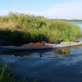 Солнце уже низко. Пора обосноваться
для отдыха и ночлега. Для этого выбран остров Моховатый (не путать с
Манхэттеном!) - самый большой остров на территории Костромского водохранилища.