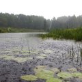 Нет, не пронесло. Попал под
дождь, а лучше сказать под ливень. Наверное, это знак - решил на этом месте
повернуть назад. Я и так заплыл далеко (за край своей карты). Изначально
планировал грести только до озера. Понял-понял, - не дурак, поворачиваю…