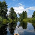 Впереди опять тенистый
участок Вопши. Водная алея. Прекрасное место для прогулок.