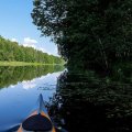 Вы себе не представляете,
камрады, как это здорово, как это благостно, - грести в жару в прохладном таком
тенёчке!