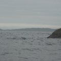17:15. На острове Первый Осушной нас ждал небольшой сюрприз в виде ржавого кораблика. 