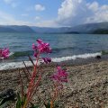 Сердце северных гор. Поход на морских каяках — Ловозеро, Сейдозеро, Кольский полуостров