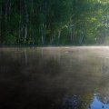 Вода теплее, чем воздух, особенно в местах, освещаемых солнцем. В таких условиях начинается парение воды.