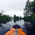 Видите вот этот здоровенный плюх впереди слева? Это бобёр перед погружением шлёпнул своим плоским хвостом по воде. Бобр – первый друг пресноводных каякеров. Это ты там устроил завалы в узких спрямленных участках Вопши? Низкое тебе за это спасибо!