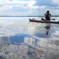 Клумбы цветущего шелковника смотрятся очень живописно. И ему в своем альбоме пресноводных растений я посвящаю больше всего кадров.