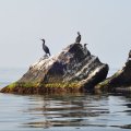 На пути к Алуште. Штиль
на море.