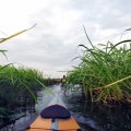 Внедрились в участок с очень узкой протокой. Можно было его и обойти. Но здесь по своему прикольно.