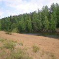 Воскресная прогулка. Воскресная прогулка.