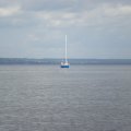 Воскресная прогулка.