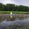 Отдыхать нужно вот в таких местах. Силы восстанавливаются очень быстро. Райское местечко...  Вспомнилось вот что. Пил как-то чашечку кофе на балконе и нечаянно подслушал разговор детей рядом с домом, пасущихся возле куста смородины. Надо сказать, что жена заботится об участке под окнами. Акация, мальва, бархатцы, земляника – очень много цветов за живым забором из шиповника и сирени. Так вот, одна детишка и говорит другой: «Это будет нашим раем. Здесь полно еды и много цветов!»