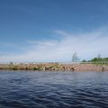 Разлив р. Десна 2021