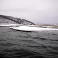 Последние льдины, застрявшие на мели у берега...