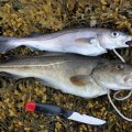 Рыбалка на морских каяках на севере Норвегии