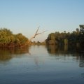 Беларусь. Полессье. р. Припять. Каякинг Беларусь. Полессье. р. Припять. Каякинг