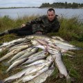 Беларусь. Полессье. р. Припять. Каякинг Беларусь. Полессье. р. Припять. Каякинг