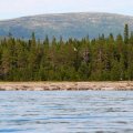 16:53. Не без труда нашли подходящую полянку. Уровень воды сейчас минимальный. Литораль метров 100. Мда… Далековато таскать лодки. Но тут резко начался прилив. По литорали среди камней побежали ручейки. Да ещё внезапно подул сильный ветер с моря. Небо затянуло облаками.   Получилось, что море нас буквально вытолкнуло из воды на берег. 