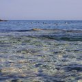 Поход на морских каяках Славянка-Андреевка (Южное Приморье). Сентябрь 2008