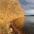 И на этом едком пейзаже в лучах заходящего солнца, позвольте завершить сей краткий рассказ. 