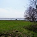 Там, вдалеке, небо сливается с озером... Стоя на валу городища отнюдь не думается о сторожевом пункте.Остров не затапливается, хотя в этом году воды очень мало. Вероятно, не затапливался и тогда, когда городище было городком. Городище располагается подковой, т.е. вал примыкает к берегам рукава Веряжи - и это позволяет весьма обоснованно думать о том, что построен Сергов Городок по тому же принципу, что и Хедебю, и Любша и еще некоторые городища, жители которых (или постояльцы) думают о защите своих кораблей. Однако, археологических следов 9-11вв. не обнаружено. Впрочем, шурфов было мало, поэтому 12-13вв. как датировка признано и сейчас. Городище контролирует устье Веряжи - пройти мимо него незамеченным невозможно. А подальше по Веряже (где-то в 8-10км), в районе нынешней деревни Три отрока, впадает речка Прость, что означает "короткий путь". А Прость впадает в Волхов (или в Ильмень - там это непросто) у Скита, и на ней имеется селище, на котором есть материалы 8 века. Не говоря уж о том, что недалеко расположена древнейшая известная деревня России - Ракомо (первое упоминание 1015г.).Было ли какое-то жилье за пределами вала и не было - неизвестно...