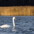 Морской каяк, Хельсинки и окрестности