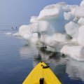 Местами из воды торчат целые айсберги, которые я безуспешно пытался использовать в качестве укрытия, в попытке сфотографировать всякую водоплавающую дичь. Впрочем, фотоохота в мои планы совершенно не входила. Душа жаждала обледенелых холодных пейзажей и прочей арктической экзотики.