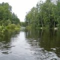 Найти нужные протоки помог навигатор, но в принципе, справился бы и без него. Из за дождей, вода была высокой и там где были обещаны пороги, проскочил без проблем. Навстречу, с Ладоги, вверх по течению шли 4-х вёсельные ялы и одна байдарка двойка. Было видно что ребята уже конкретно угреблись, течение в некоторых местах очень даже неслабое. 