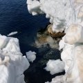 Вода стремительно теряет прозрачность и торжественную мрачность, столь характерную для начала сезона. Скоро можно будет купаться не опасаясь что-нибудь отморозить.