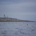 Белое море 2012: мыс Колгуев. Часть 1