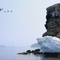 Прощальный взгляд на Владивосток исчезающий в неизвестно откуда возникшем тумане. Акватория пустынна, лишь браконьерский бот кружит в проливе, не обращая внимания на одинокий желтый каяк.