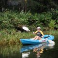 Пханг Нга (Phang Nga) — тайская провинция, расположенная на материке примерно между Пхукетом и Краби. 