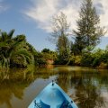 Постепенно каналы отворачивают от моря и самыми немыслимыми зигзагами внедряются вглубь материка. 