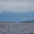 Белое море. Н.п. Кузема - губа Канда. 18 августа – 1 сентября 2012. Часть 6.