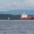 Немного
озадачил облезлый вид этой посудины.