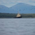 13:43.
Судно прошло мимо меня. Хотел помахать рукой. Но как я ни старался, ни одну
живую душу на борту разглядеть не удалось. В кадр умудрилась вклиниться
моторная лодка.