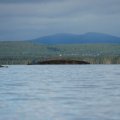 Кандалакшский берег по правую руку от меня просто великолепен.