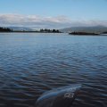 15:57. Я уже рядом с мостом. За ним шивера. Вода из моря течёт в Канду. При этом в самом море вода уже несколько часов падает. 
Поднял руль и слился под мостом по шивере. И сразу оказался в другом мире. По берегам люди, кто-то с удочкой, кто-то лодку на воду спускает. Сфотографировал шиверу под мостом.