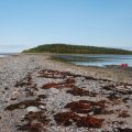 Белое море. Н.п. Кузема - губа Канда. 18 августа – 1 сентября 2012. Часть 4.