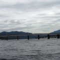 От истока
Бия широкая и многоводная река, вода прозрачная, слегка голубоватая, и сразу на
радость туристам первый порог, не зря Артыбаш в переводе с алтайского означает
"голова порогов". 
Свое путешествие мы начали с Телецкого озера с небольшого заливчика на правом
берегу. При приближении к Бии чувствуется, как течение подхватывает лодку. Вот
и мост, слышится рокот реки.  
 
Проходим между опорами моста и вот уже видны барашки первого порога Слив.
Подудели, как следует и нас снесло в левую протоку, мелко там говорят по лоции,
но нам надо то всего двадцать сантиметров глубины, прошли легко. 

И вот уже
слышится шум порога Юрток. Порог образован в результате впадения одноименной
реки. Это сейчас мало заметный ручеек, а весной бурные потки, с шумом выносят
огромные валуны. Течение становится очень быстрым, слышится грозный рокот.
Струи воды, отражаясь от берегов сталкиваются на середине, образуя гребень с
крутыми волнами. Стараемся вырулить на самый крутой вал.  
 
Вот и Юрток позади, течение несет дальше, мы с Димой подгребаем в два весла,
Женю назначили фото-кинокорреспондентом, да и мне кое- что удается
пофотографировать.  

На горизонте
показался небольшой островок, весь в цветах.  