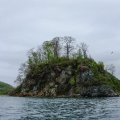 Как мы плавали в Новик на каяках