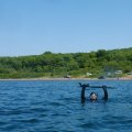 Подводная живность&nbsp;